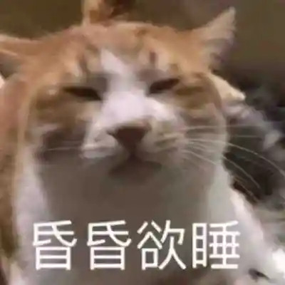 2024年最热门的可爱表情包头像(图75)