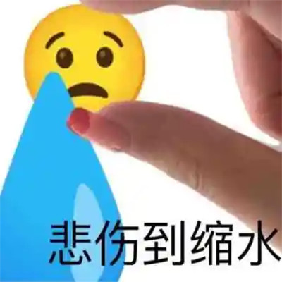 2024年最火表情包头像(图57)