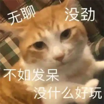 2024年最火爆的搞笑表情包头像(图60)