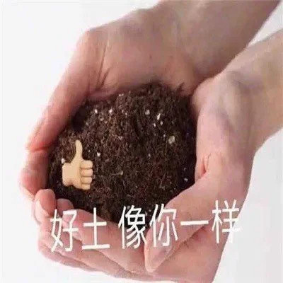 2024年最热门的可爱表情包头像(图55)