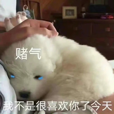 2024年最新表情包头像图片(图57)