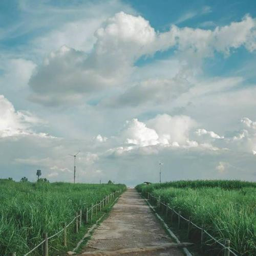 最美微信头像图片精选(图39)