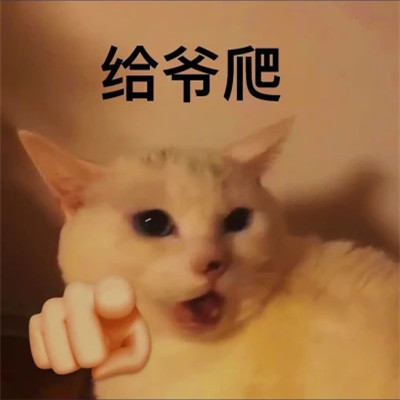 2024超萌表情包可爱搞笑头像(图49)