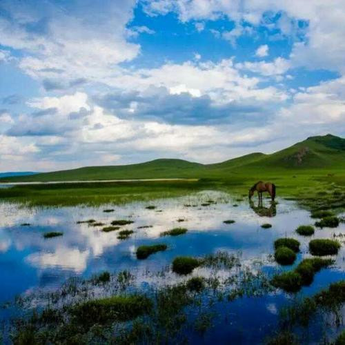 最美微信头像图片精选(图29)
