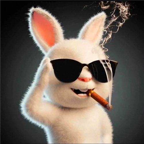 头像越怪越有人爱图片(图37)