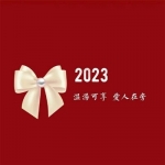 2023带来好运红色背景文字微信头像