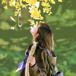 2024最新版的微信头像图片大全