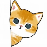 猫咪偷窥头像图片，让你每天都可爱！