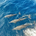 2024年最热门的微信背景图片，快来挑选吧！