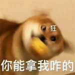 2024年最新表情包头像图片大集合