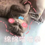 2024年最火搞笑图片头像：爆笑不停，让快乐传递！