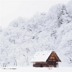 微信绝美雪景头像图片，让你感受冬日浪漫！