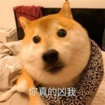 笑到肚子疼的沙雕网红图片，赶紧来看！