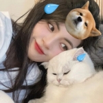 女生与小动物抱抱的超温馨瞬间头像，抱起来超有爱！