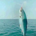 2024最火爆真人一左一右情头，让你情感升温！