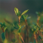 2024年最漂亮的头像图片，找到你的心动款！