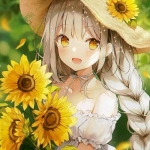 收藏！2024年最精美的微信图片合集