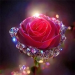 唯美梦幻玫瑰花头像图片，感受浪漫与优雅