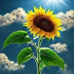 唯美向日葵向阳而生头像图片，微笑的太阳
