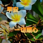 精选早安图片头像，温馨问候，每日更新