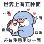 肥肥鲨可爱卡通表情包头像图片