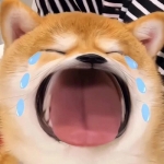 微信头像搞笑幽默图片，每天笑一笑，十年少！