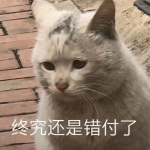 抢先看！2024年最新版表情包头像