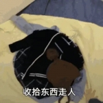 必收藏！2024年最受欢迎的表情包头像图片