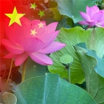 花开富贵女士爱国头像，高清晰度大图