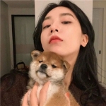 女生和萌宠甜蜜超美头像大放送！