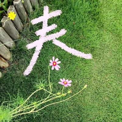 治愈系唯美花朵风景头像合集｜每一帧都是温柔与美好