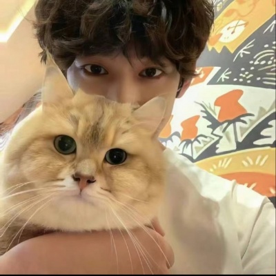 一男一女高质量ins氛围感真人情头｜温柔治愈不撞款