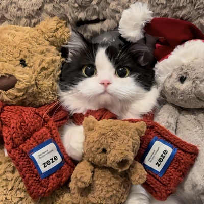萌化啦！可爱猫咪超萌情侣头像来袭
