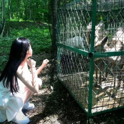 小众高级！小清新绿色治愈系女生头像